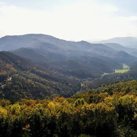 Behagliches Mit Kamin Mitten Im Wald بيت للعطل