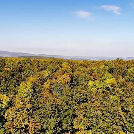Holiday home Behagliches Mit Kamin Mitten Im Wald *