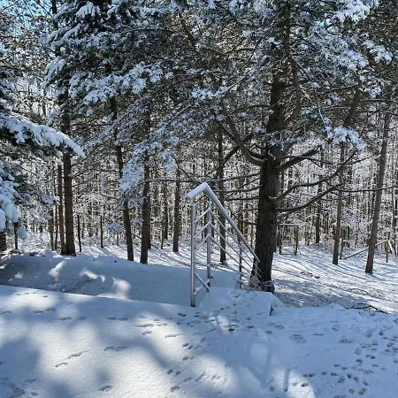 Holiday home Behagliches Mit Kamin Mitten Im Wald *