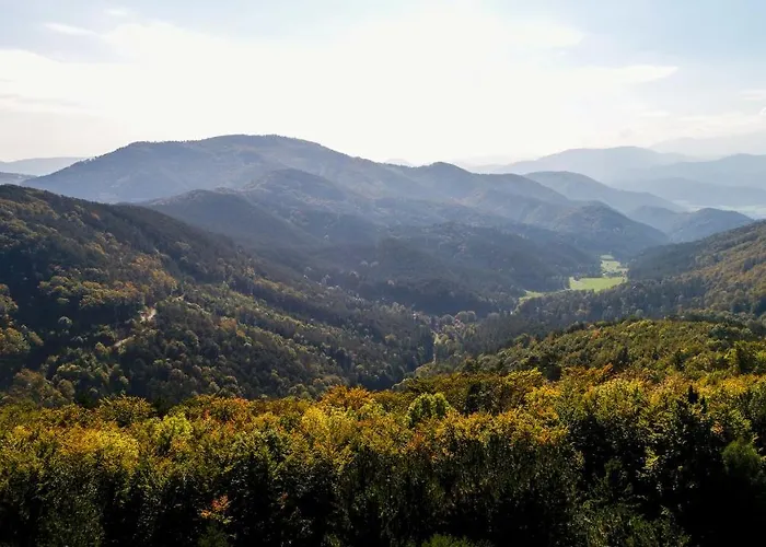 Behagliches Mit Kamin Mitten Im Wald Vakantiehuis
